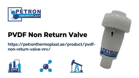 Ras Al Khaimah, Business, PVDF Non Return Valve Supplier In UAE | Petron Thermoplast