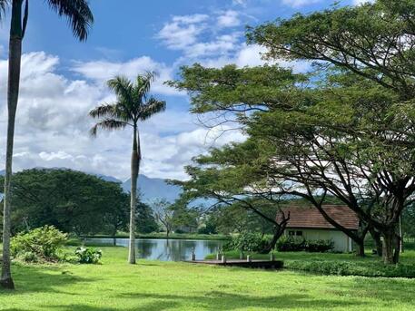 Manila, Real Estate For Sale, PHP 11392500,  Studio,  465 Sq. Meter,  Hacienda Escudero