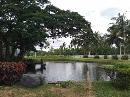 Manila, Real Estate For Sale, PHP 11392500,  Studio,  465 Sq. Meter,  Hacienda Escudero