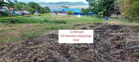Manila, Real Estate For Sale, PHP 11025000,  Studio,  2550 Sq. Meter,  Full Seaview Rawland At Calatagan Batangas