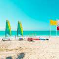 Travel Agencies In The US