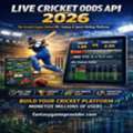 Best Cricket Odds API For Live Betting Data, Real-Time Scores & Fast API Integration