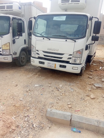 Riyadh, Pest Control, Professional Save Pest Control Spray And Bed Bugs Service 0558563189