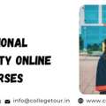 Lovely Professional University Online MSc Courses