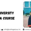 Amity University Online BA Course