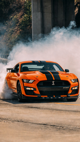 New York, Automotive, Mustang Shelby GT500
