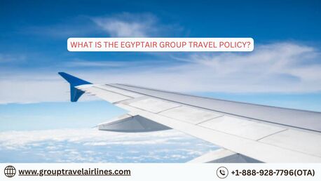New York, Travel, What Is The EgyptAir Group Travel Policy?