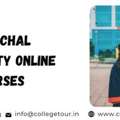 Uttaranchal University Online BBA Courses