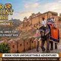 Experience The Magic Of An Amer Elephant Safari