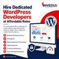 Affordable Dedicated WordPress Developers For Hire