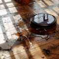Professional Water Extraction Orlando Specialists