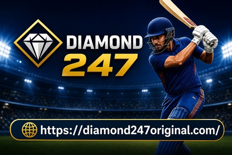 New Delhi, Business, Why Users Prefer Diamond 247 For Cricket Betting Online