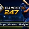 Why Users Prefer Diamond 247 For Cricket Betting Online