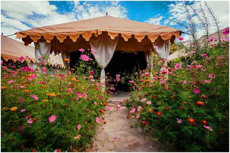 Mumbai, Travel, Best Budget Hotel In Leh Ladakh | Affordable & Comfortable Stay