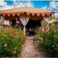 Best Budget Hotel In Leh Ladakh | Affordable & Comfortable Stay