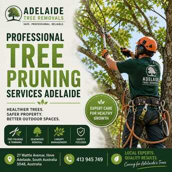Sydney, Farm/Garden, Professional Tree Pruning Services Adelaide For Healthy And Safe Outdoor Spaces