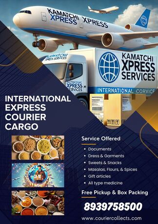 Chennai, Logistics, International Express Courier Services