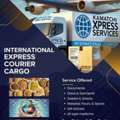 International Express Courier Services