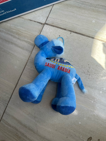 Al Faisaliyah, Baby & Kid Stuff, SAR 100,  Kids Toys