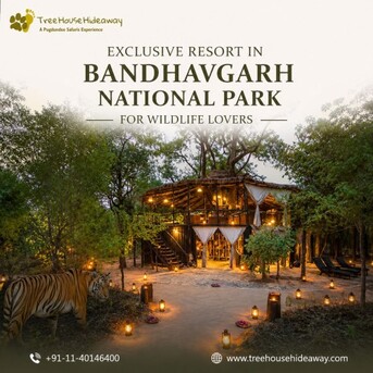 Mumbai, Business, Exclusive Resort In Bandhavgarh National Park For Wildlife Lovers