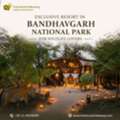 Exclusive Resort In Bandhavgarh National Park For Wildlife Lovers