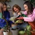 Create A Beautiful Home Garden With Easy Tips