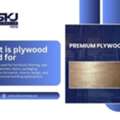 High-Quality Plywood Sheets Dubai At Best Prices