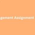 How To Get Affordable Management Assignment Help In The UK