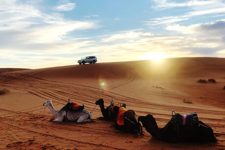 Karama, Travel, Best Ferrari World Packages In Dubai | Book With Opal Leisure Holidays