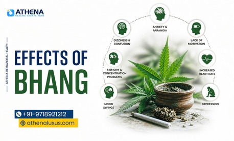 New Delhi, Health, Effects Of Bhang: Know The Risks & Get Help In Time Today