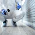 Burlington Termite Control Services For Fast Relief