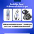 USD 116100,  Power Plus Retailers Announces Advanced Pedrollo Centrifugal Water Pump Solutions For Reli
