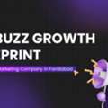 Digital Marketing Agency In Faridabad - Netbuzz Digital Solution