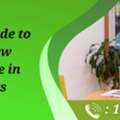Simple Steps To Create A New Company File In QuickBooks