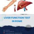 Liver Function Test In Rome