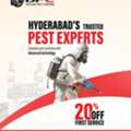 Pest Control In Hyderabad