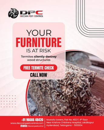 Hyderabad, Pest Control, Best Termite Control Services In Hyderabad