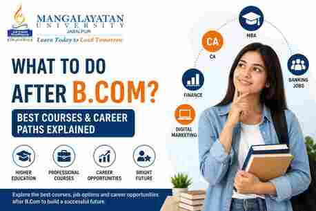 Noida, Education, B.Com Course: Eligibility, Fees & Career Opportunities
