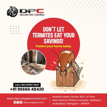 Hyderabad, Pest Control, Termite Pest Control In Hyderabad