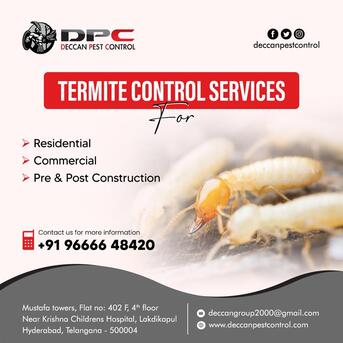 Hyderabad, Pest Control, Termite Pest Control Service