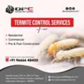 Termite Pest Control Service