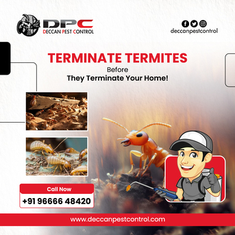 Hyderabad, Pest Control, Termite Pest Control