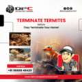 Termite Pest Control