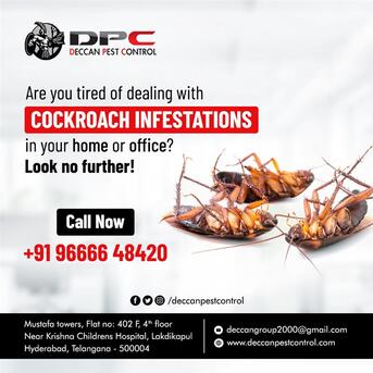 Hyderabad, Pest Control, Best Cockroach Control Services In Hyderabad