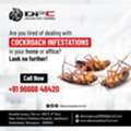 Best Cockroach Control Services In Hyderabad