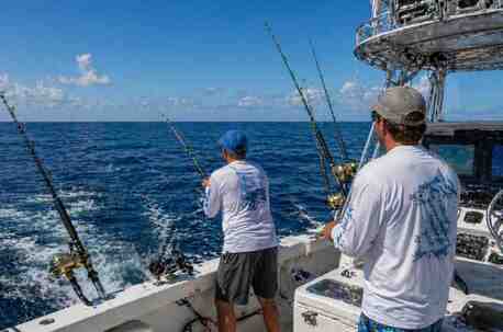 New York, Business, 8hr Offshore Fishing Charters Fort Pierce | Florida Fishing Book Now
