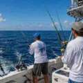 8hr Offshore Fishing Charters Fort Pierce | Florida Fishing Book Now