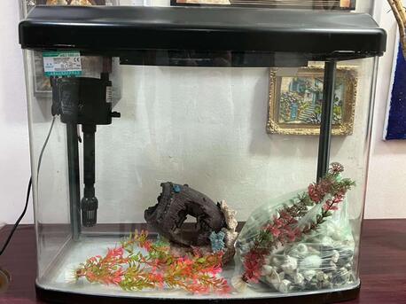 Jeddah, Pet Supplies, SAR 200,  20 Litre Aquarium With Decor