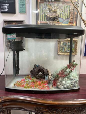 Jeddah, Pet Supplies, SAR 200,  20 Litre Aquarium With Decor