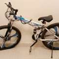 SAR 300,  Cycle